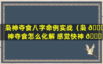 枭神夺食八字命例实战（枭 🐈 神夺食怎么化解 感觉快神 🕊 经了）